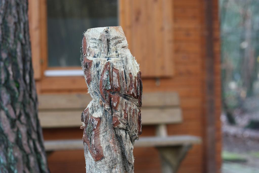 Lodges Veluwse Poort Дирен Экстерьер фото